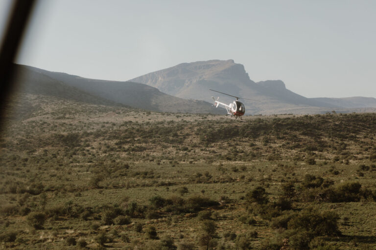 Helicopter scanning for animals