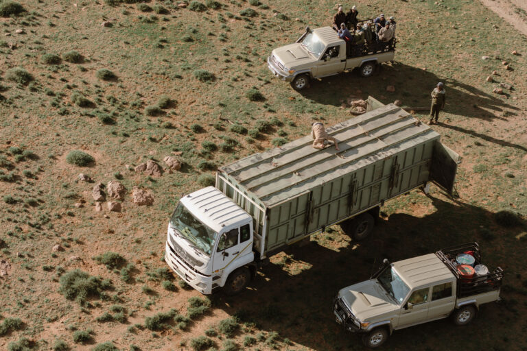 Trucks loaded and ready to deliver animals